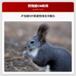 卢戈被107英里快球击中额头