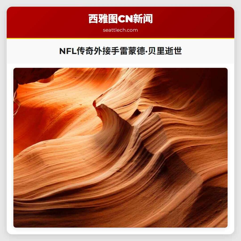 NFL传奇外接手雷蒙德·贝里逝世