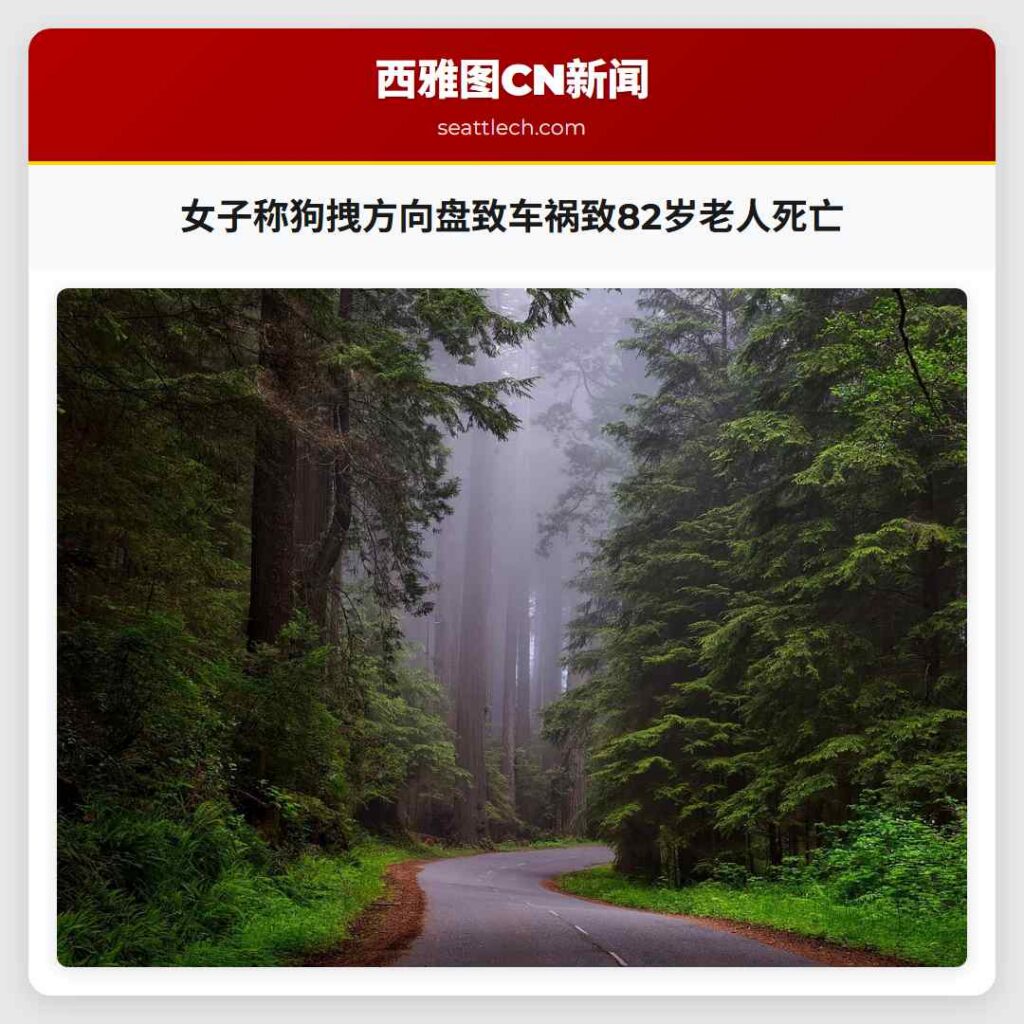女子称狗拽方向盘致车祸致82岁老人死亡