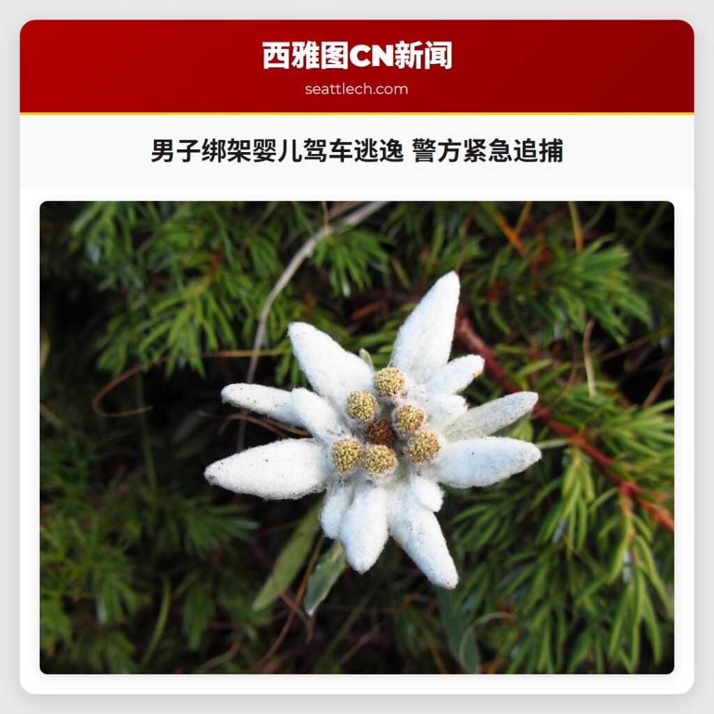 男子绑架婴儿驾车逃逸 警方紧急追捕