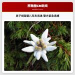 男子绑架婴儿驾车逃逸 警方紧急追捕