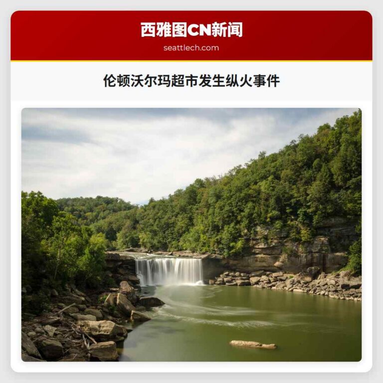 伦顿沃尔玛超市发生纵火事件