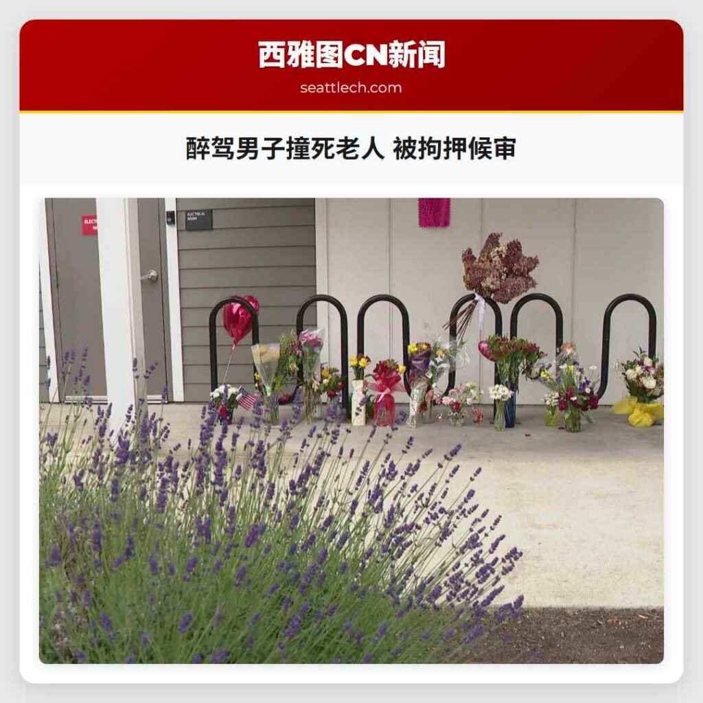 醉驾男子撞死老人 被拘押候审
