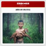 副警长救乌龟引热议