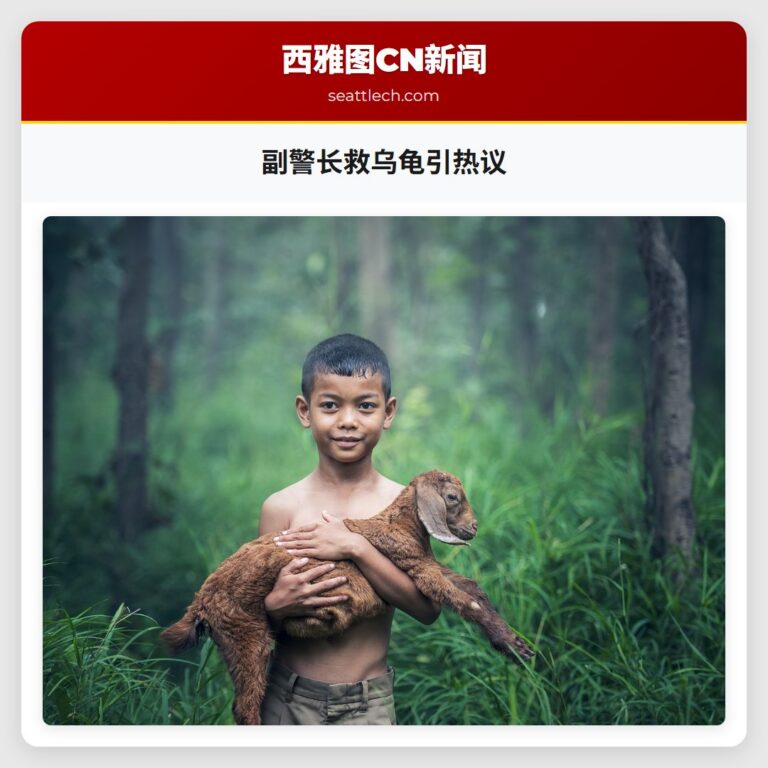 副警长救乌龟引热议