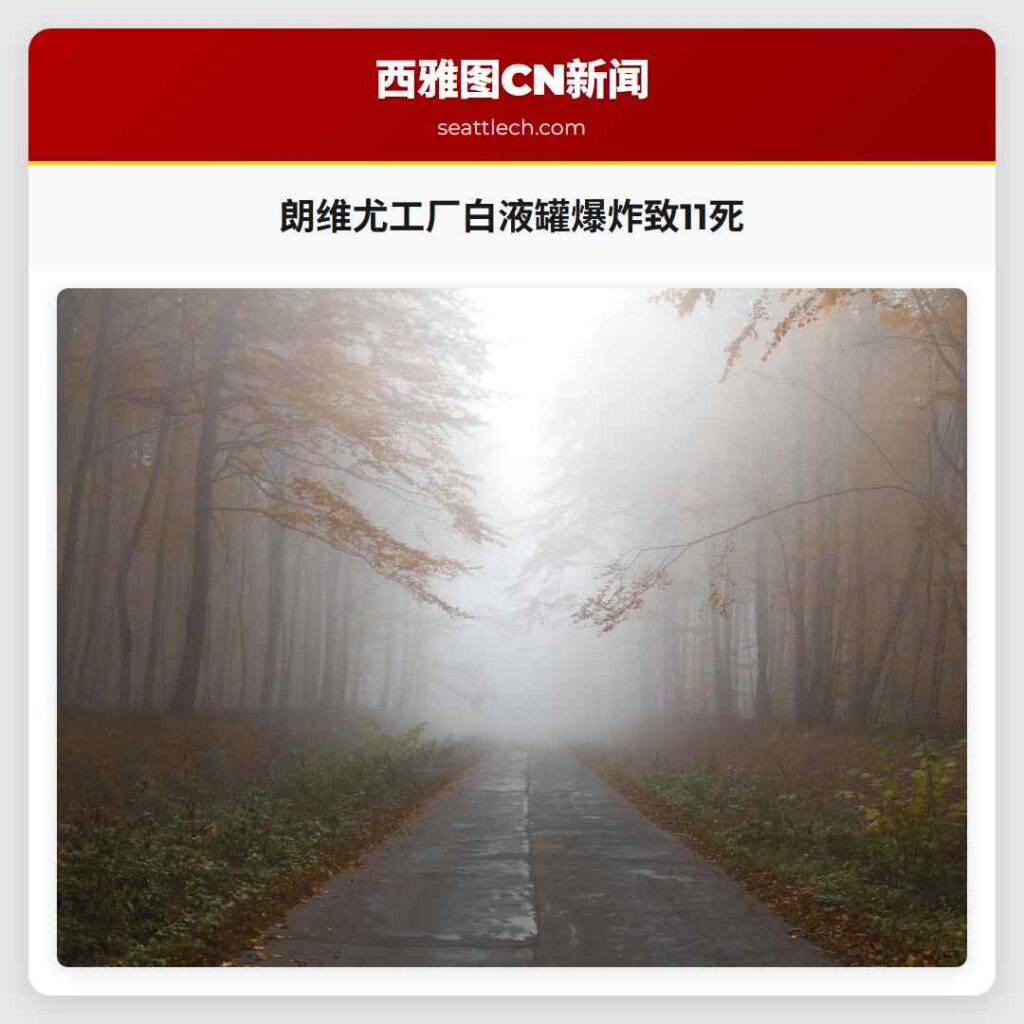 朗维尤工厂白液罐爆炸致11死