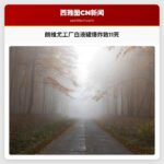 朗维尤工厂白液罐爆炸致11死