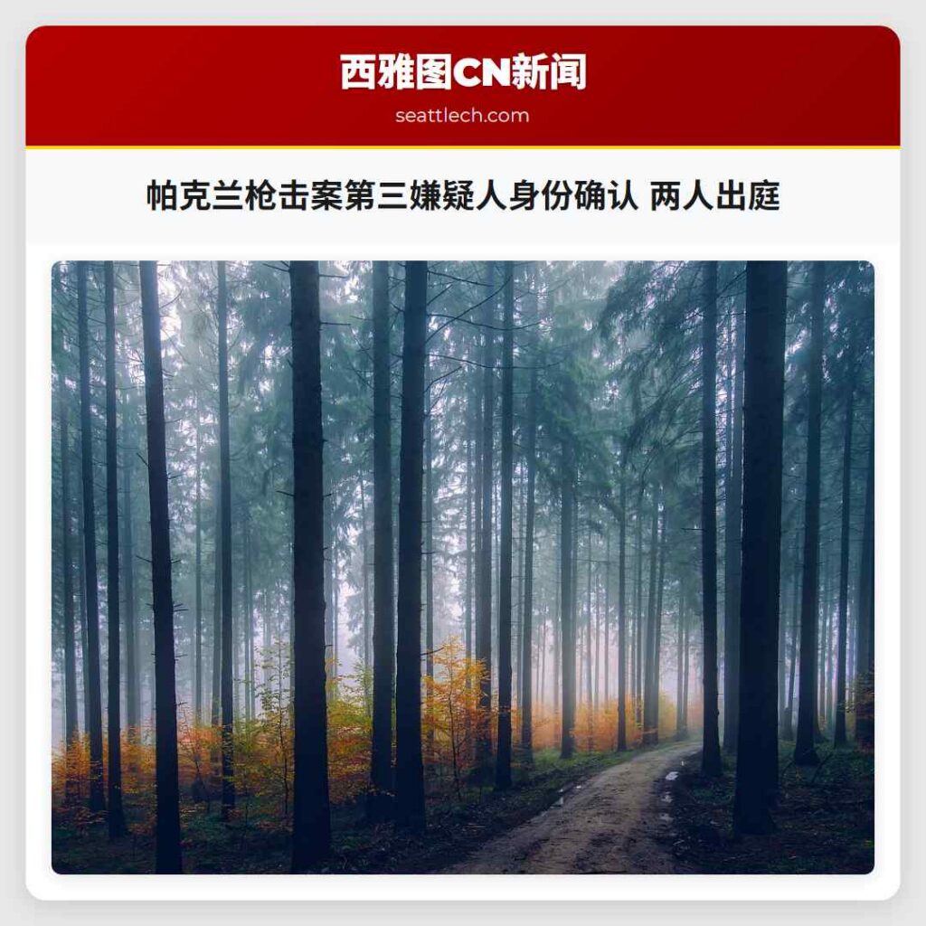 帕克兰枪击案第三嫌疑人身份确认 两人出庭