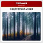 库里携手李宁开启体育合作新篇章