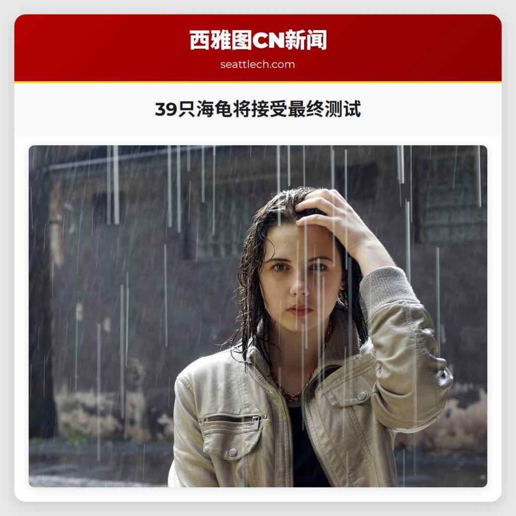 39只海龟将接受最终测试