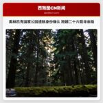 奥林匹克国家公园遗骸身份确认 跨越二十六载寻亲路