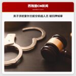 男子涉扰爱尔兰航空机组人员 被扣押候审