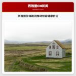 西雅图先锋跑团推动包容健康社区
