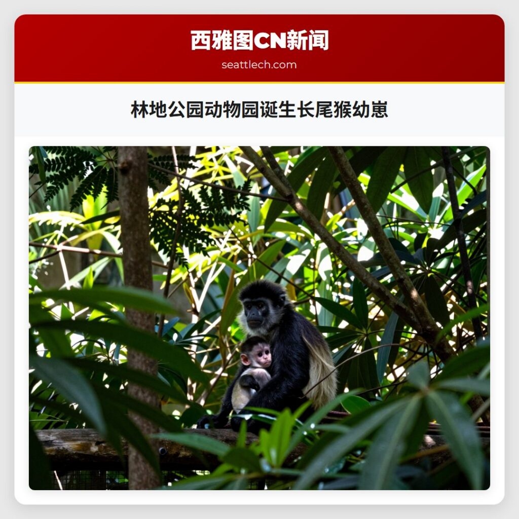 林地公园动物园诞生长尾猴幼崽