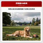 狗狗公园活动遗憾落幕 马林鱼兑现承诺