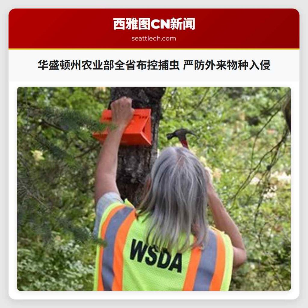 华盛顿州农业部全省布控捕虫 严防外来物种入侵