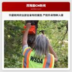 华盛顿州农业部全省布控捕虫 严防外来物种入侵