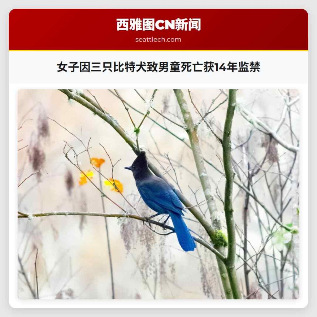 女子因三只比特犬致男童死亡获14年监禁