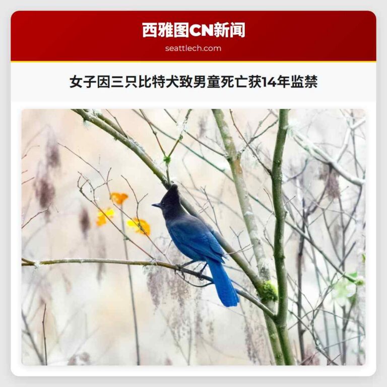 女子因三只比特犬致男童死亡获14年监禁