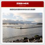 胡德湾及阿德默利特湾关闭贝类捕捞