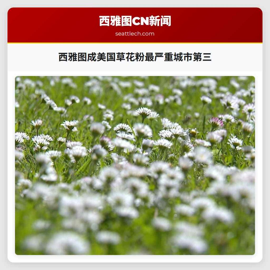 西雅图成美国草花粉最严重城市第三