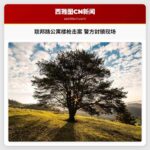 联邦路公寓楼枪击案 警方封锁现场
