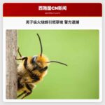 男子纵火烧蜂引燃草坡 警方逮捕