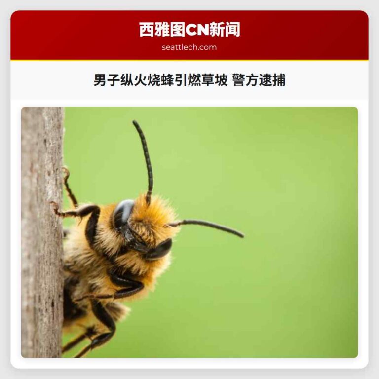 男子纵火烧蜂引燃草坡 警方逮捕