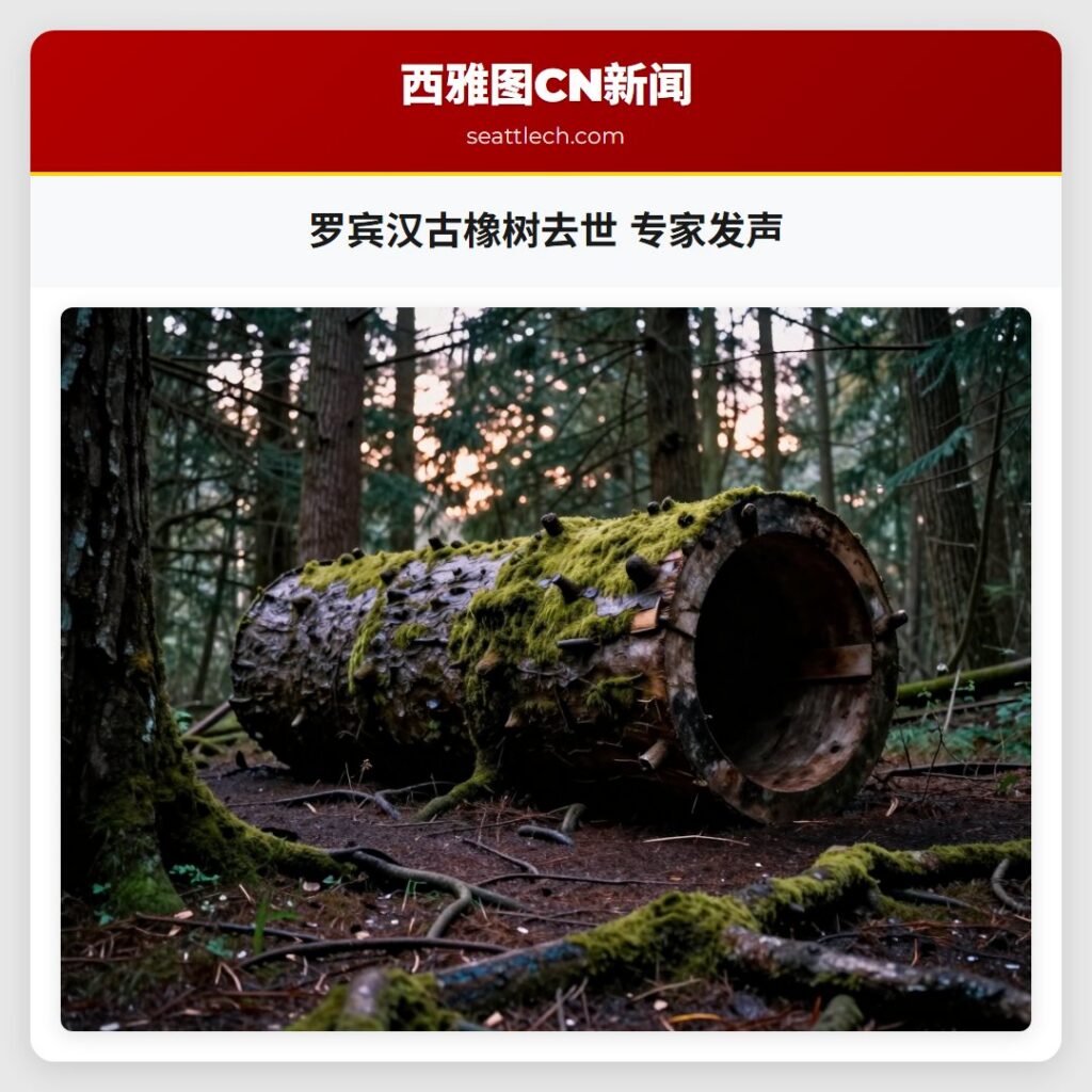 罗宾汉古橡树去世 专家发声