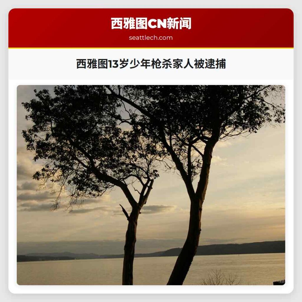 西雅图13岁少年枪杀家人被逮捕
