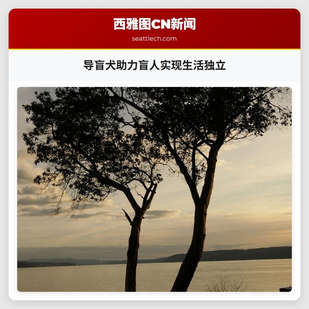 导盲犬助力盲人实现生活独立