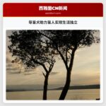 导盲犬助力盲人实现生活独立