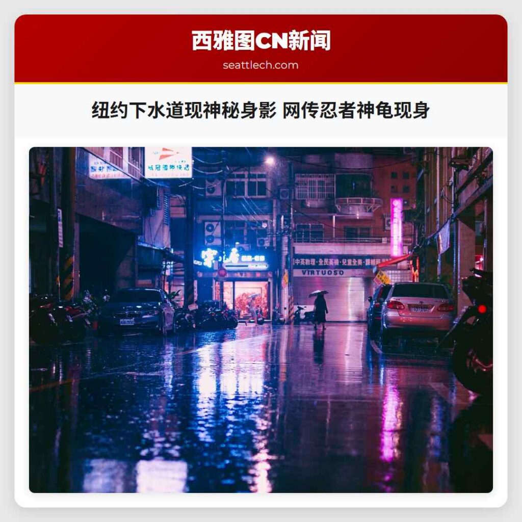 纽约下水道现神秘身影 网传忍者神龟现身