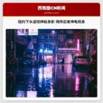 纽约下水道现神秘身影 网传忍者神龟现身