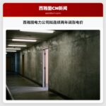 西雅图电力公司拟连续两年调涨电价
