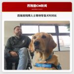 西雅图残障人士等待导盲犬时间长