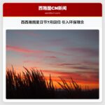西西雅图夏日节7月回归 引入环保理念
