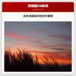 走失鸡被临时任命为警察