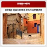 贝尔维尤I-90西行致命事故 致1死 车流拥堵数英里