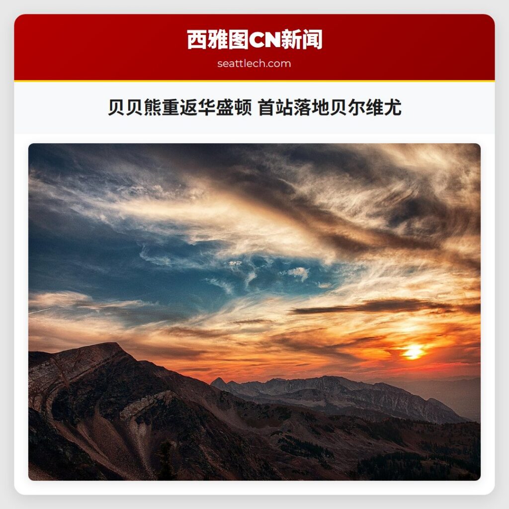 贝贝熊重返华盛顿 首站落地贝尔维尤