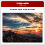 贝贝熊重返华盛顿 首站落地贝尔维尤