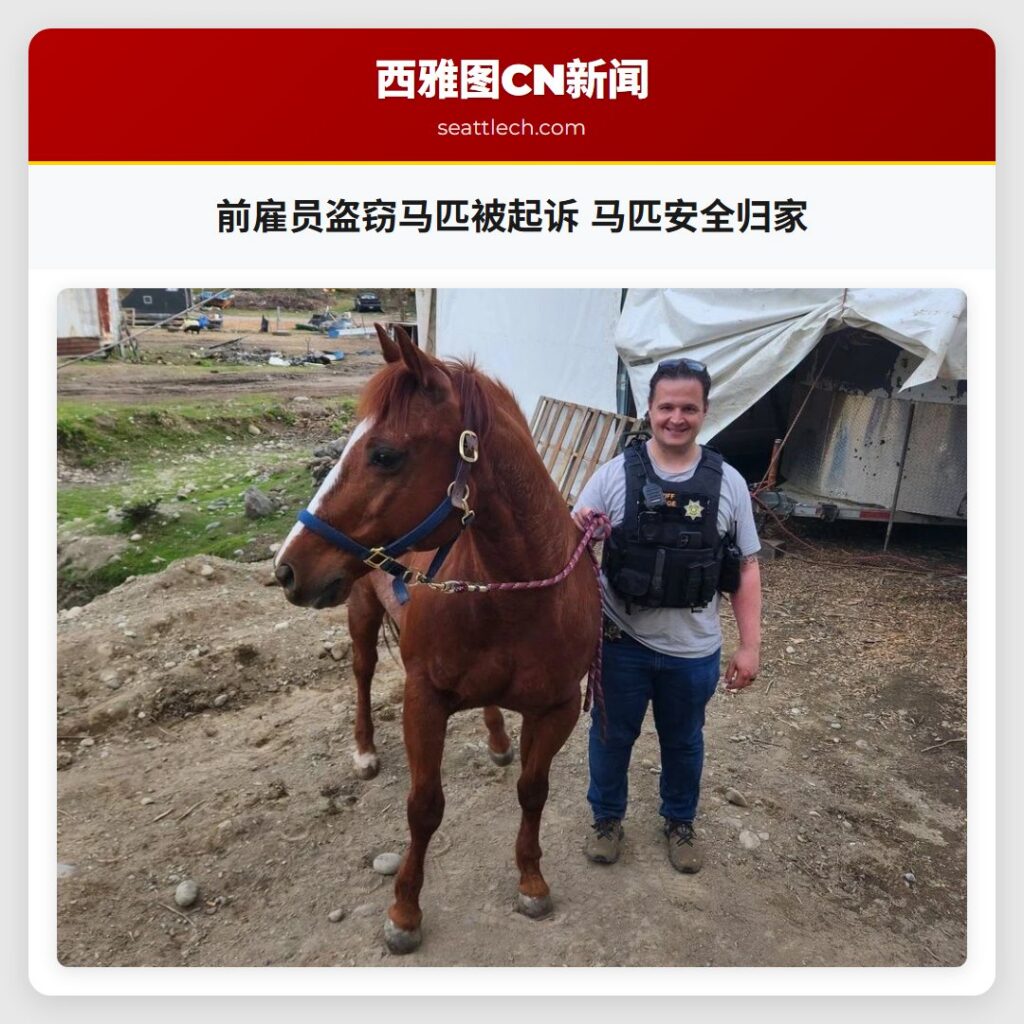 前雇员盗窃马匹被起诉 马匹安全归家