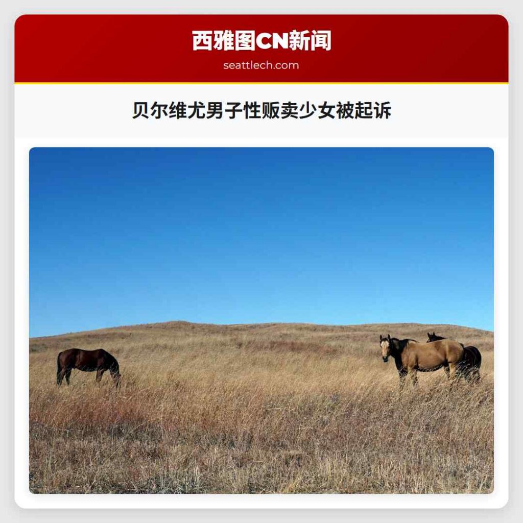 贝尔维尤男子性贩卖少女被起诉
