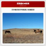 贝尔维尤男子性贩卖少女被起诉