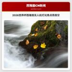 2026世界杯西雅图无人机灯光秀点亮夜空