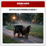 纽约中央公园马车事故致18岁游客身亡