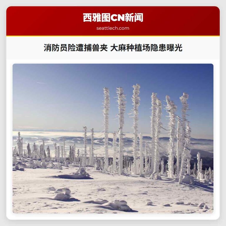 消防员险遭捕兽夹 大麻种植场隐患曝光