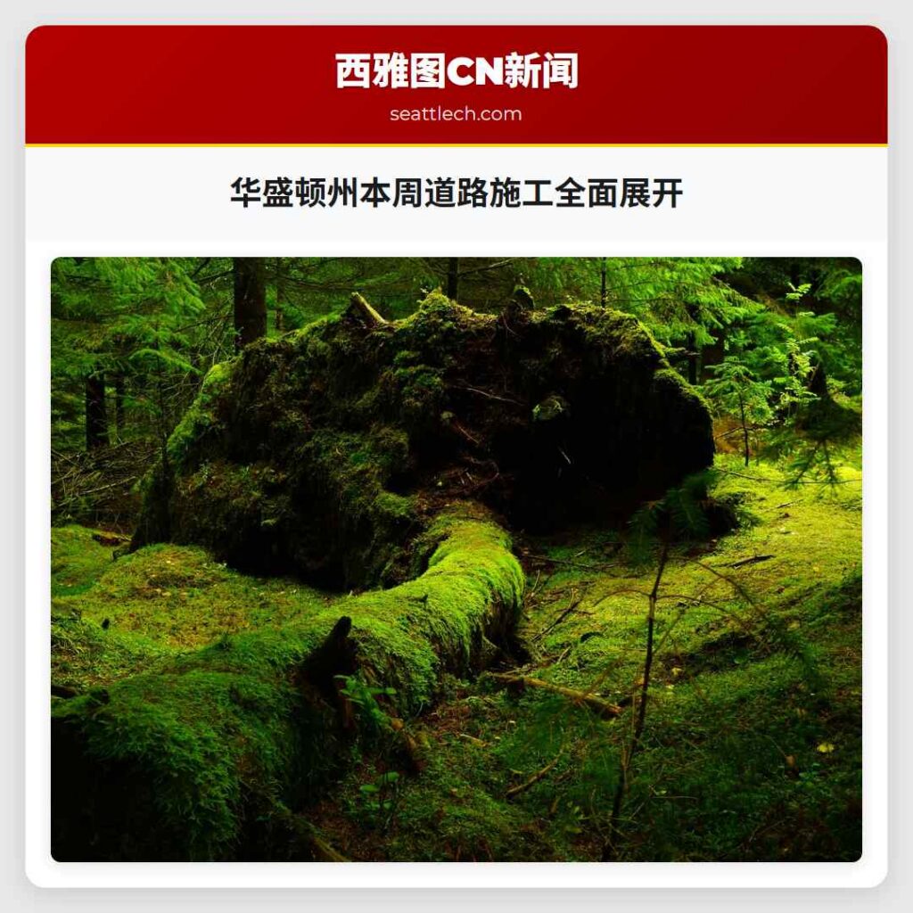 华盛顿州本周道路施工全面展开