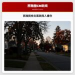 西雅图枪击案致两人重伤