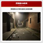 西雅图30分钟内连发三起抢劫案